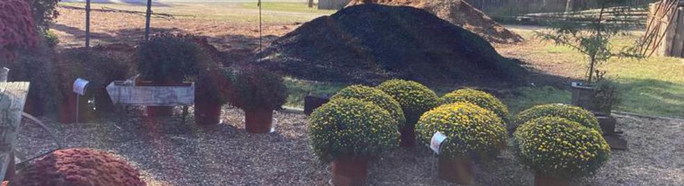 landscaping plants