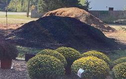 compost